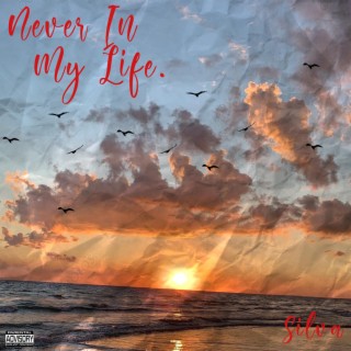 NEVER IN MY LIFE lyrics | Boomplay Music