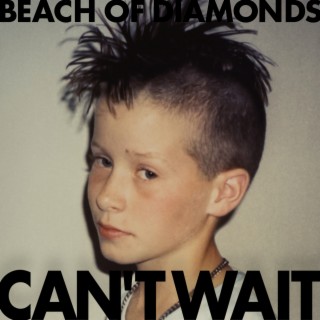 Beach Of Diamonds