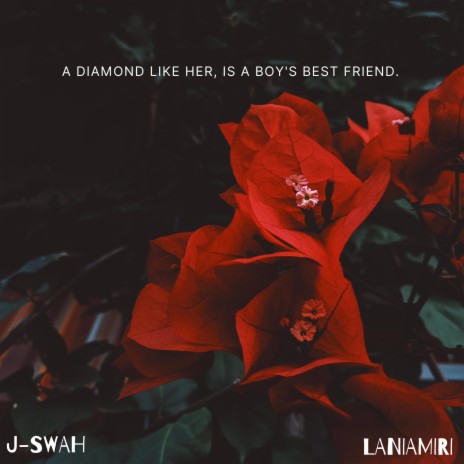 Diamond in a haystack ft. LaniAmiri | Boomplay Music