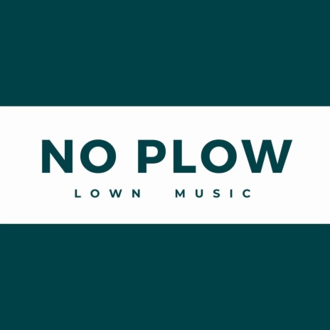 No Plow