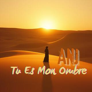 Tu Es Mon Ombre lyrics | Boomplay Music