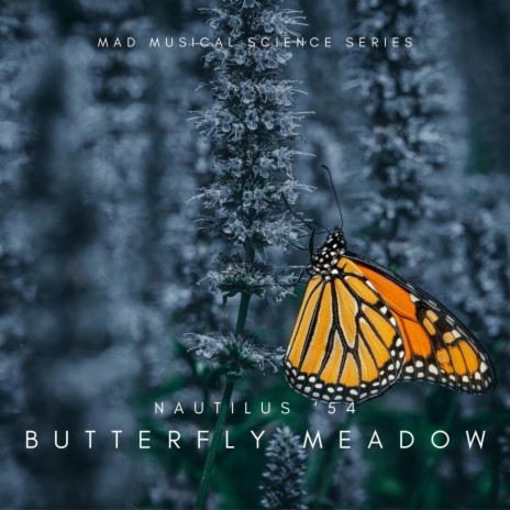 Butterfly Meadow | Boomplay Music