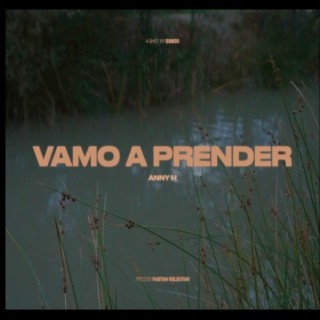 Vamo a prender lyrics | Boomplay Music