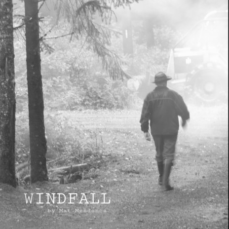 Windfall | Boomplay Music