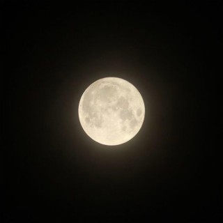 Pleine Moon