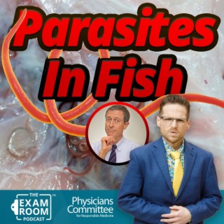 You’re Eating Parasites If You're Eating Fish | Dr. Neal Barnard Live Q&A