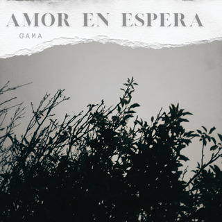 Amor en espera