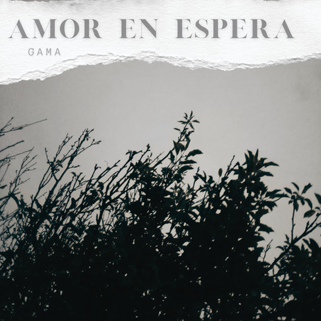 Amor en espera | Boomplay Music