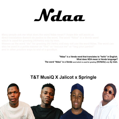 Ndaa ft. SPRINGLE & T&T MUSIQ | Boomplay Music