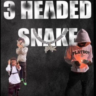 3 Headed Snake