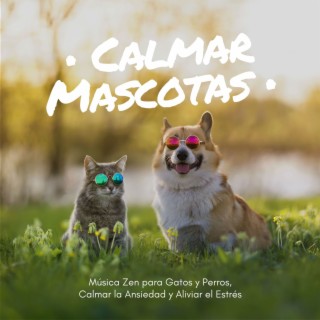 Calmar Mascotas: Música Zen para Gatos y Perros, Calmar la Ansiedad y Aliviar el Estrés