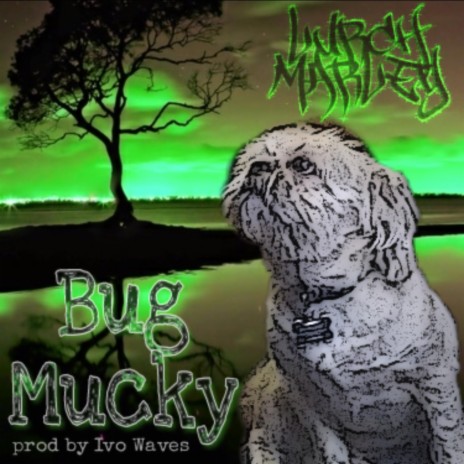 Bug Mucky | Boomplay Music