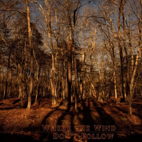 where the wind don't follow (single version) | Boomplay Music