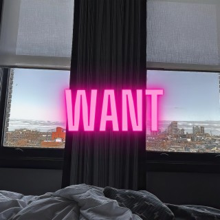 Want lyrics | Boomplay Music