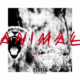 ANIMAL (Domi Mode)