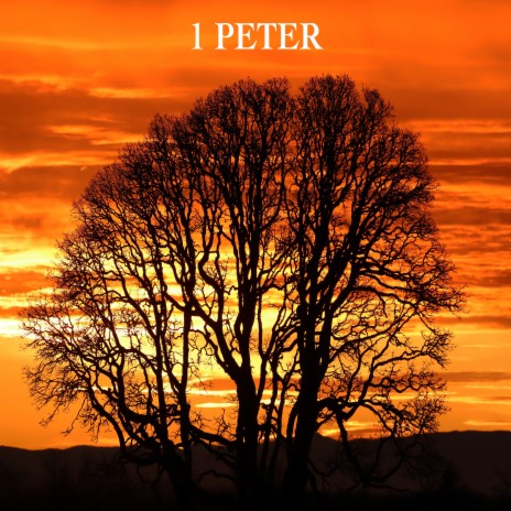 1 Peter Chapter 1 | Boomplay Music