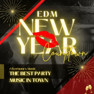 EDM New Year Countdown: The Best Party Music in Town