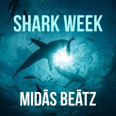 SHARK WEEK | Boomplay Music