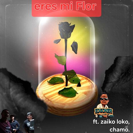 Eres mi Flor | Boomplay Music