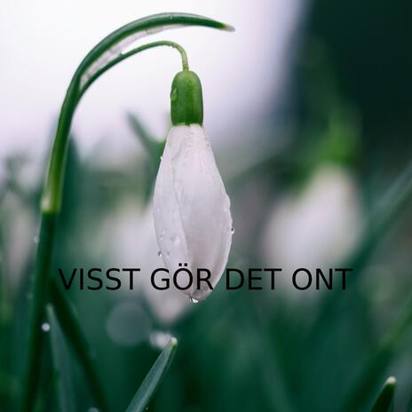 Visst Gör Det Ont | Boomplay Music