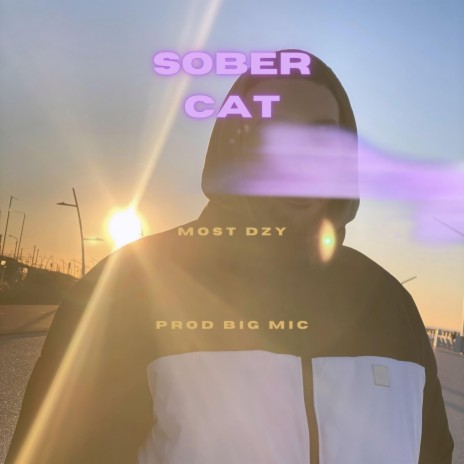 Sober Cat | Boomplay Music