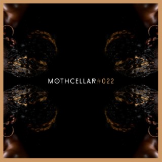 Mothcellar 022