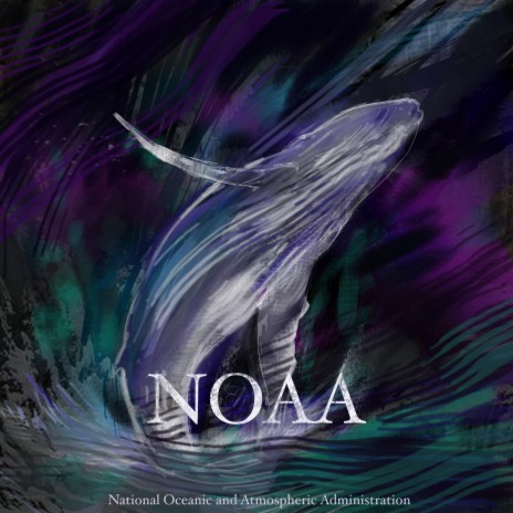NOAA | Boomplay Music