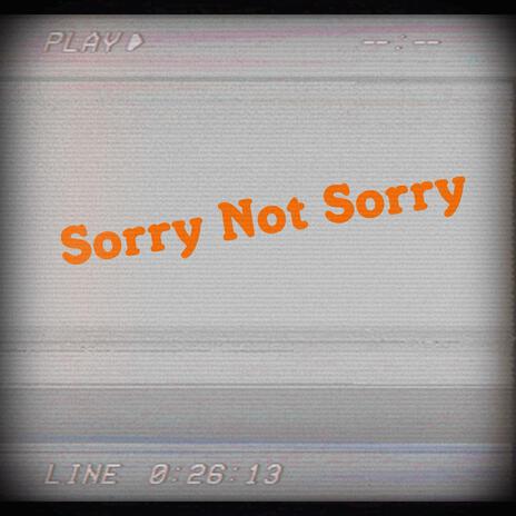 Sorry not sorry | Boomplay Music