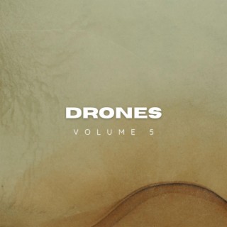 diminished drones