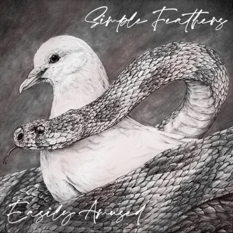 Simple Feathers | Boomplay Music