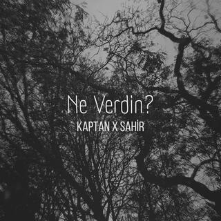 Ne Verdin?