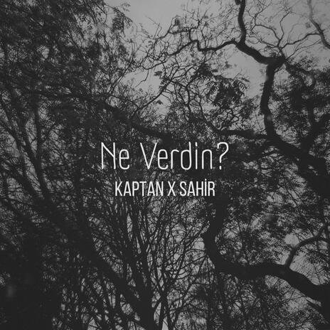 Ne Verdin? ft. Sahir | Boomplay Music