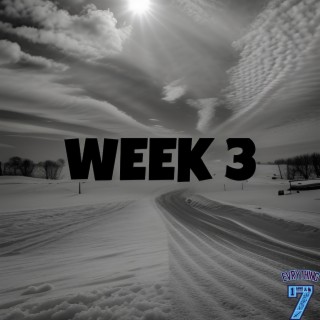 Week 3