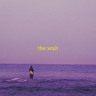 the wait (brazilian lofi)