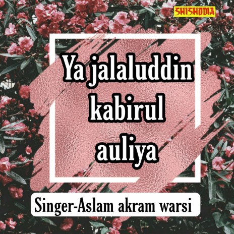 Ya Jalaluddin Kabirul Auliya | Boomplay Music