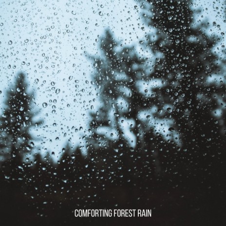 Comforting Forest Rain | Boomplay Music