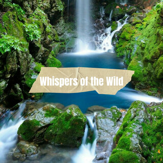 Whispers of the Wild