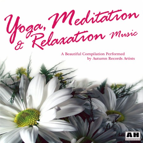 Relaxation, Meditaton Yoga | Boomplay Music