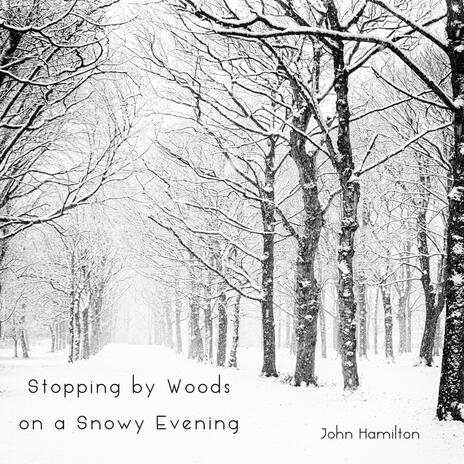 Stopping by Woods on a Snowy Evening | Boomplay Music