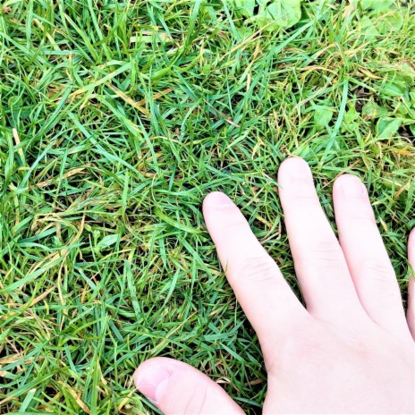 Touched Grass
