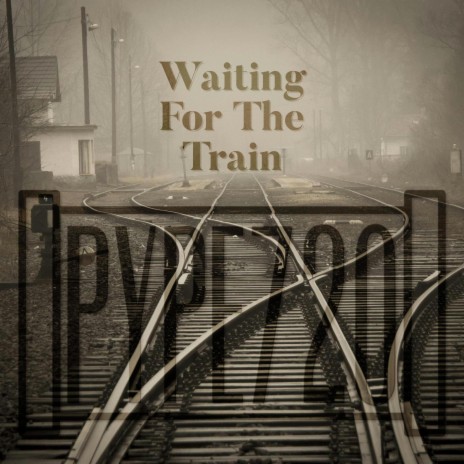 Waiting For The Train (2004 Acoustic Version) | Boomplay Music