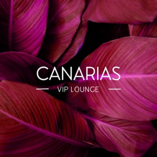 Canarias VIP Lounge