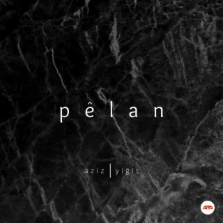 Pelan