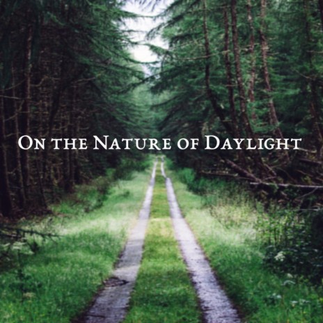 On the Nature of Daylight - Orchestral