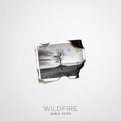 Wildfire