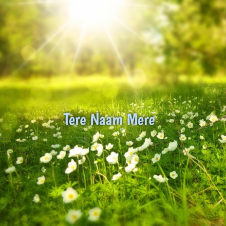 Tere Naam Mere | Boomplay Music