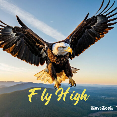 Fly High | Boomplay Music