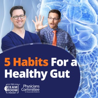 5 Habits To Build a Healthy Gut | Dr. Will Bulsiewicz Live Q&A