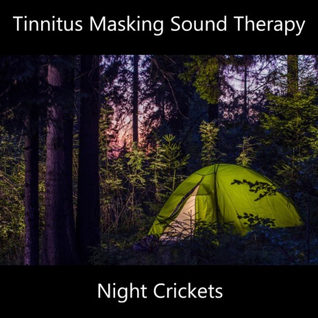 Night Crickets | Boomplay Music