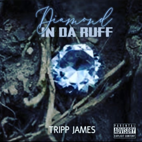 Diamond in Da Ruff | Boomplay Music